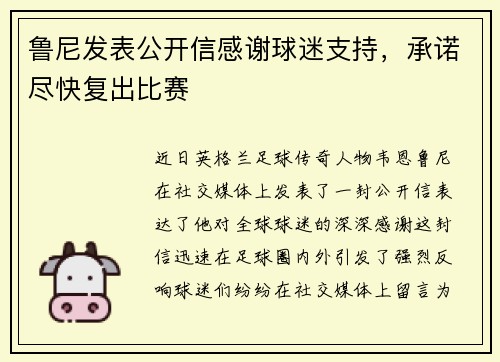 鲁尼发表公开信感谢球迷支持，承诺尽快复出比赛